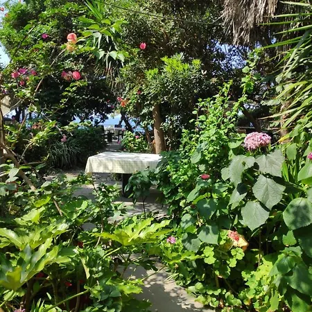 Alonaki Bay Apartmán Halikounas