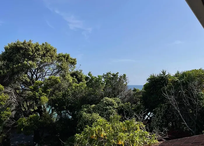 Alonaki Bay Halikounas