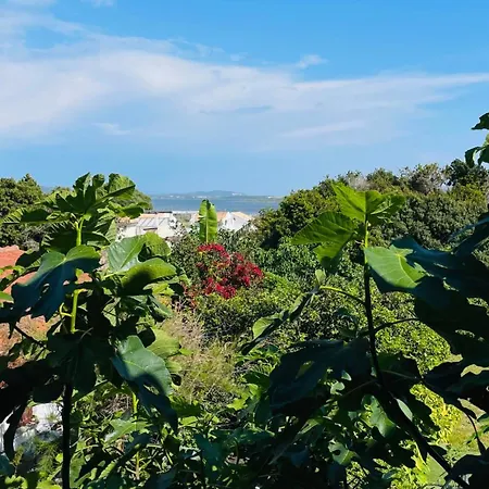 דירה Alonaki Bay