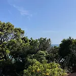 Alonaki Bay Halikounas