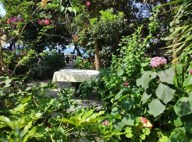 Alonaki Bay Appartement Chalikounas