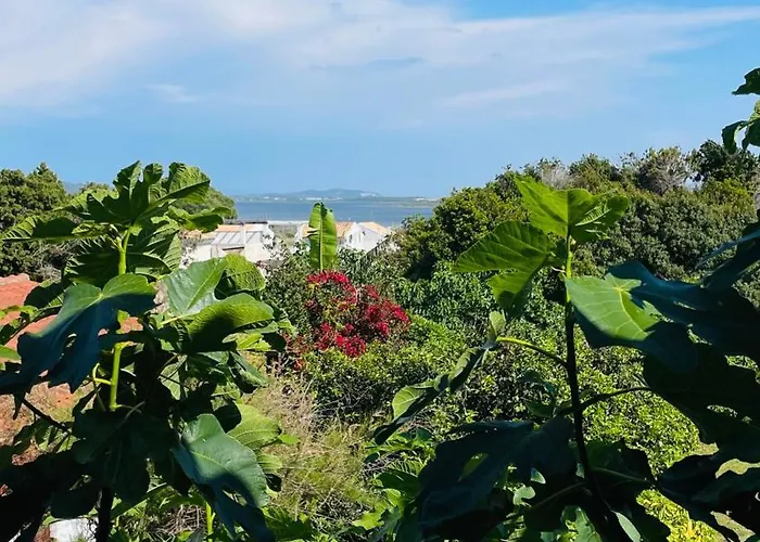 Appartement Alonaki Bay